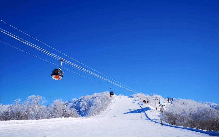 Snow Season HOKKAIDO SAPPORO OTARU KURIYAMA KIRORO SKI 5วัน 3คืน 2