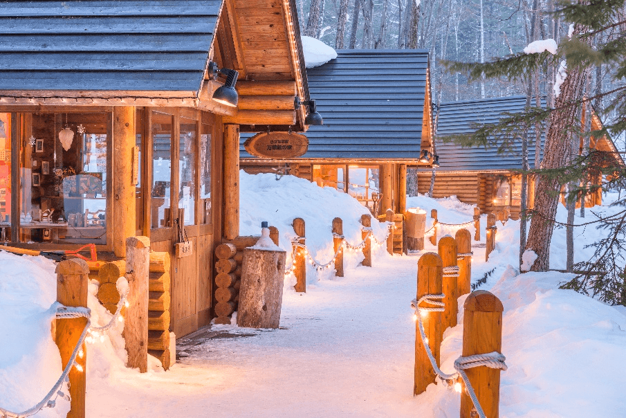 Winter Dream HOKKAIDO SAPPORO ASAHIKAWA FURANO OTARU 6วัน 4คืน 5