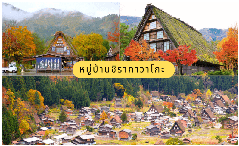 ทัวร์ เรียล เรียล…นาโกย่า “Red Alert Japan” 6วัน 4คืน 2