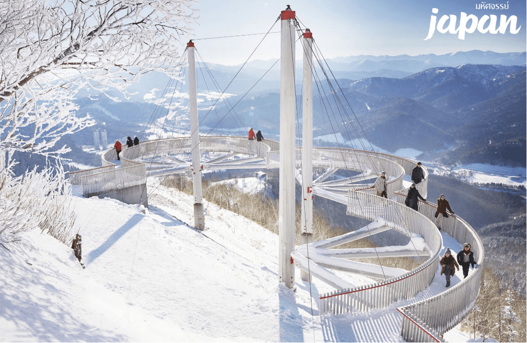 มหัศจรรย์...HOKKAIDO โทมามุ ซัปโปโร NEW YEAR FREEDAY 6 วัน 4 คืน 5