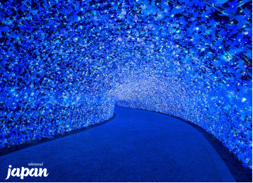 มหัศจรรย์…OSAKA ชิราคาวาโกะ ทาคายาม่า เมืองอุจิ วาคายามะ  6 วัน 4 คืน 2