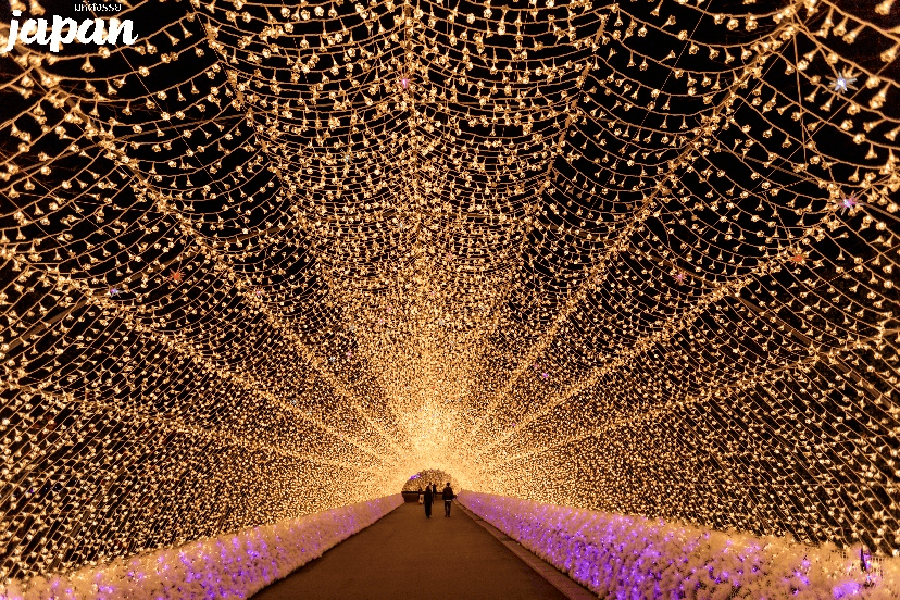 มหัศจรรย์...OSAKA นาบานาโนะซาโตะ ชิราคาวาโกะ เมืองอุจิ 4 วัน 3 คืน 3