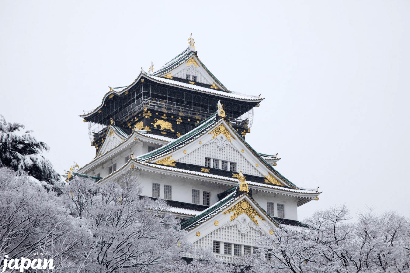 มหัศจรรย์...OSAKA นาบานาโนะซาโตะ ชิราคาวาโกะ เมืองอุจิ 4 วัน 3 คืน 5