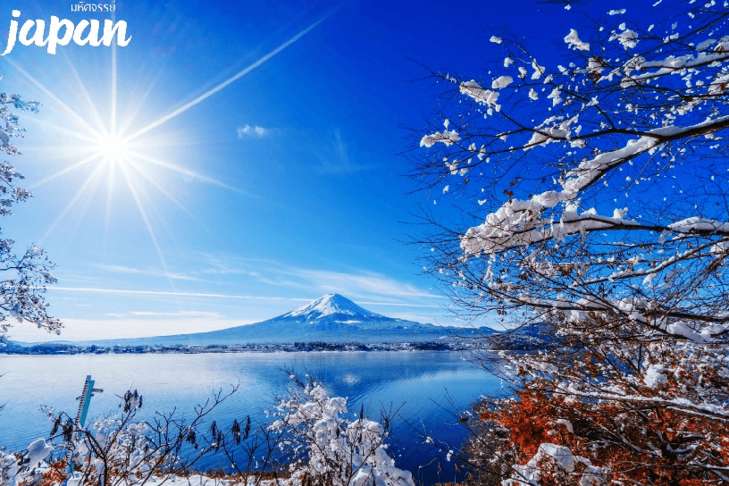 มหัศจรรย์...TOKYO ซากุระมัตสึดะ ฟูจิเท็น ฟรีเดย์ 5 วัน 3 คืน 4