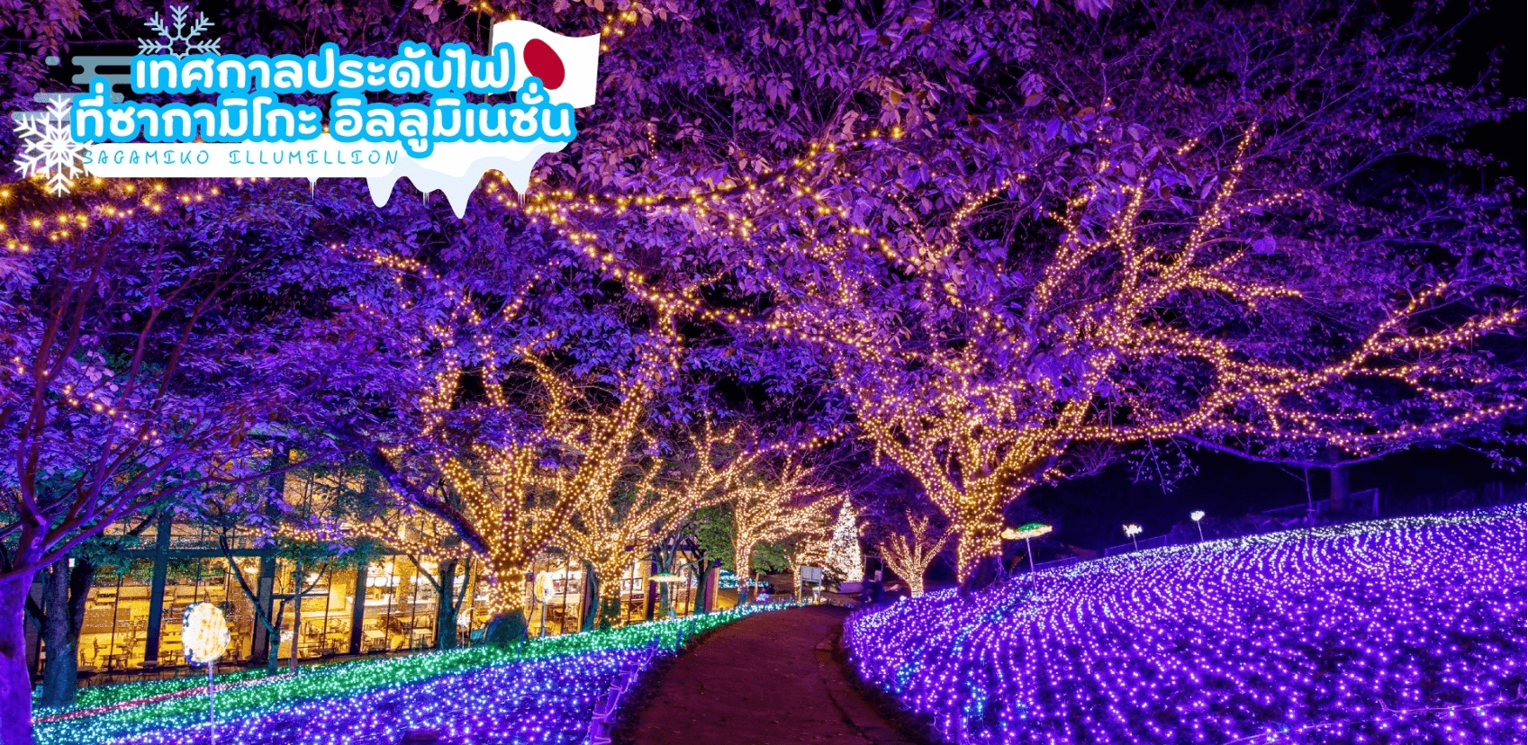 TOKYO FUJI TAKAYAMA OSAKA SKI LIGHT UP 6D 4N 3