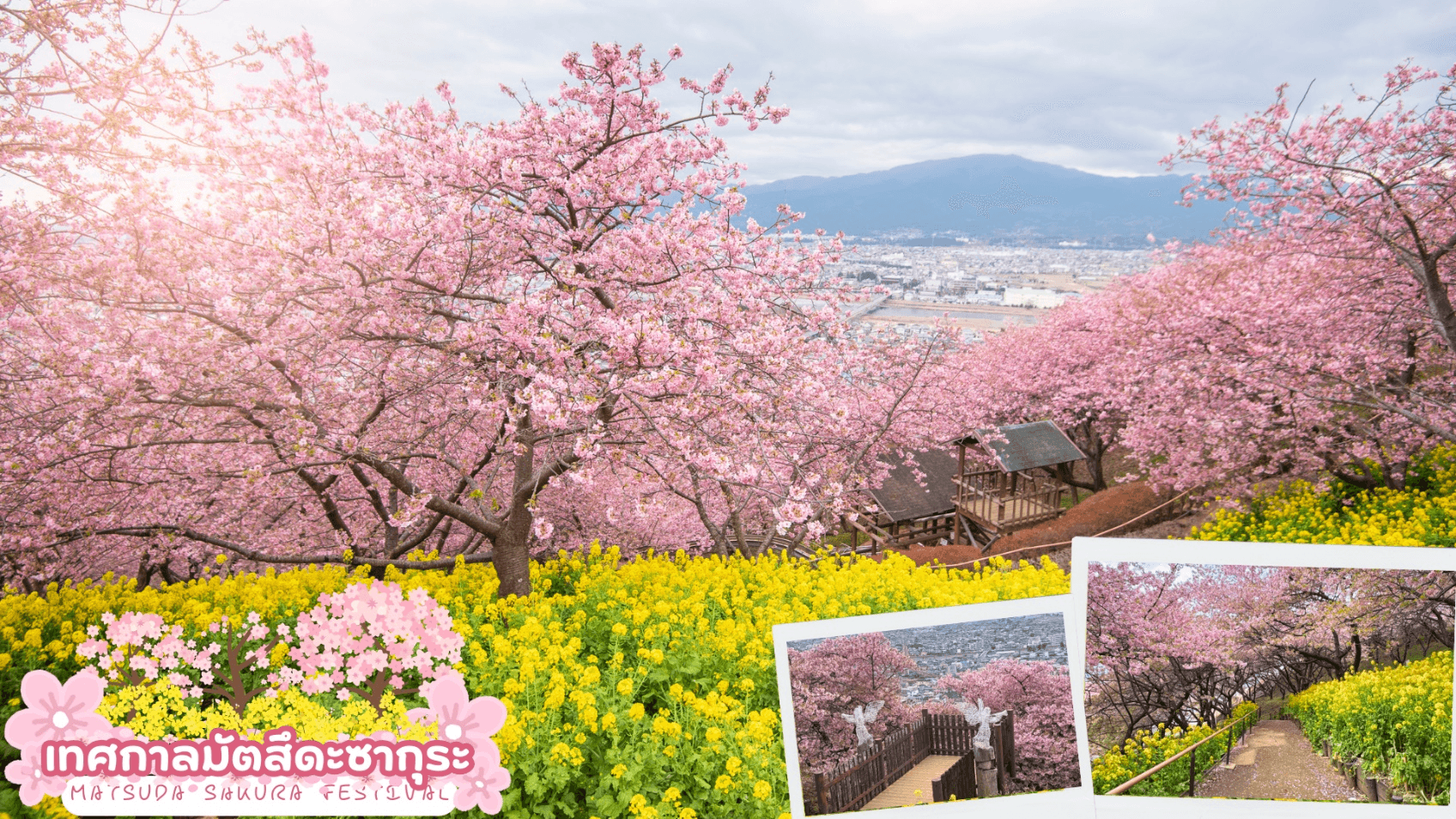 TOKYO FUJI MATSUDA SAKURA SKI WINTER 6D 3N 2