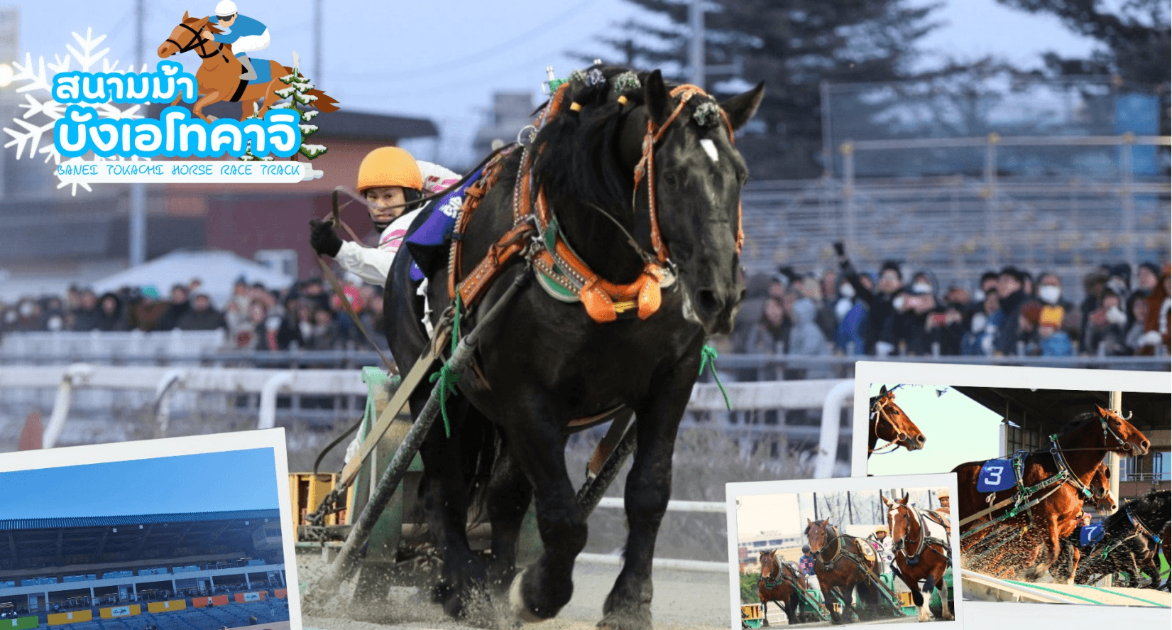 HOKKAIDO OBIHIRO FURANO SNOW WINTER 6D 4N 1