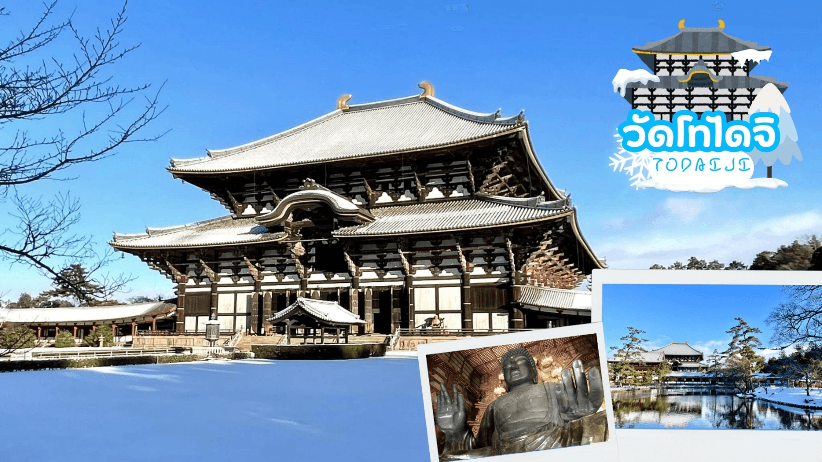 KYOTO MIE WAKAYAMA WINTER 6D 4N 1