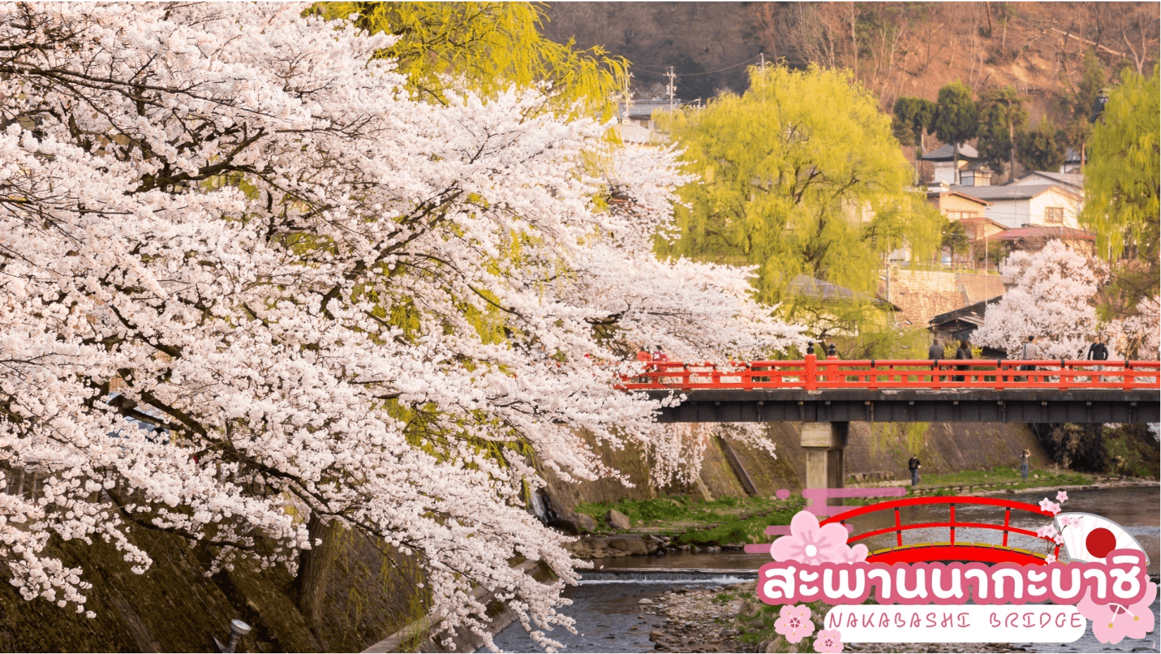 TAKAYAMA TOYAMA TOKYO COLORFUL FLOWER 7D 4N 2