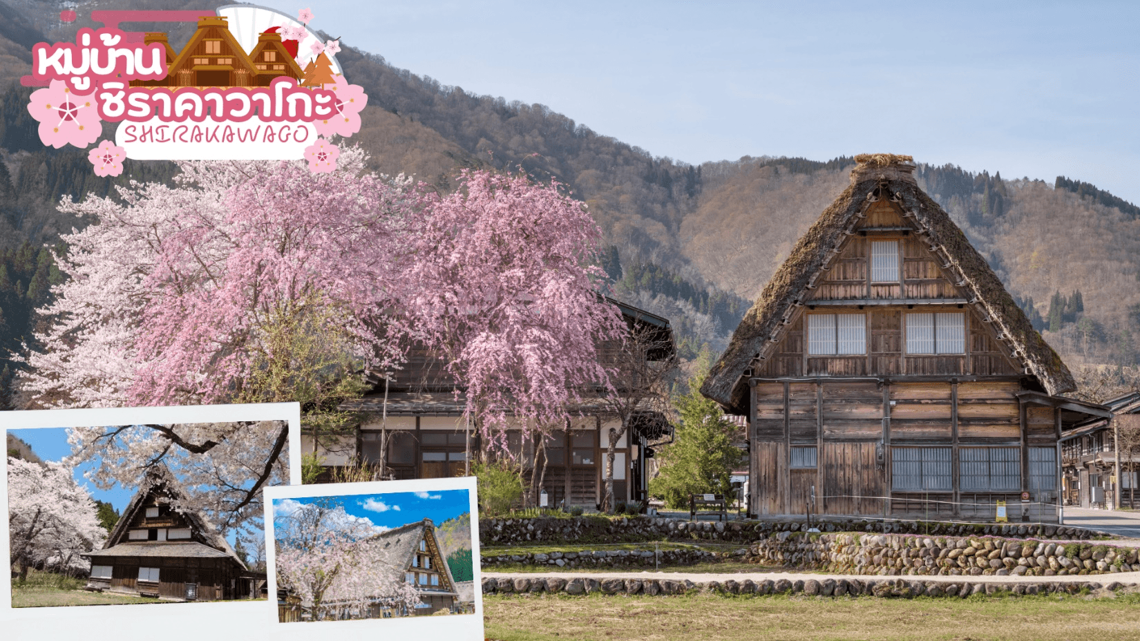 TAKAYAMA TOYAMA TOKYO COLORFUL FLOWER 7D 4N 4