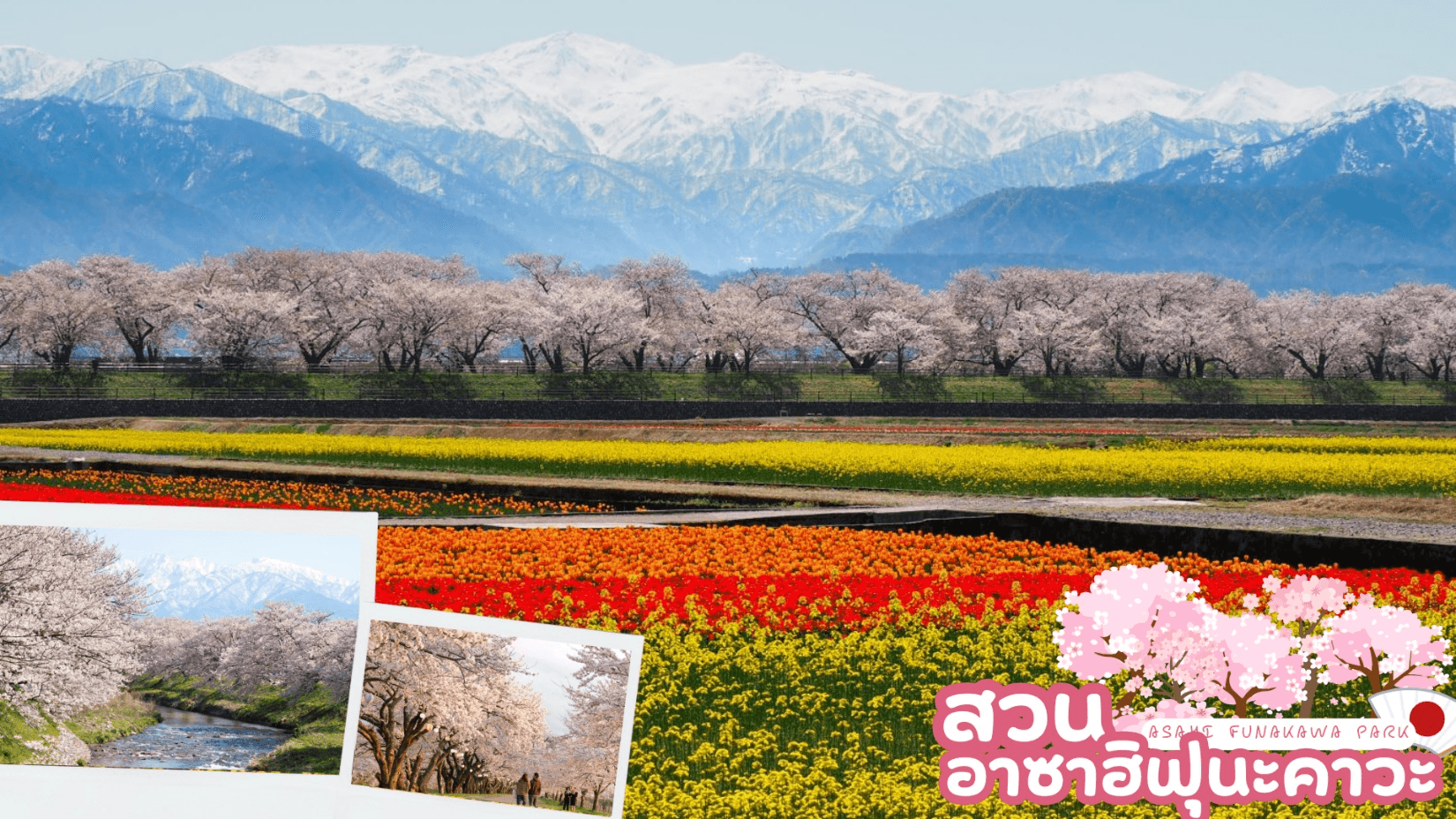 TAKAYAMA TOYAMA TOKYO COLORFUL FLOWER 7D 4N 5