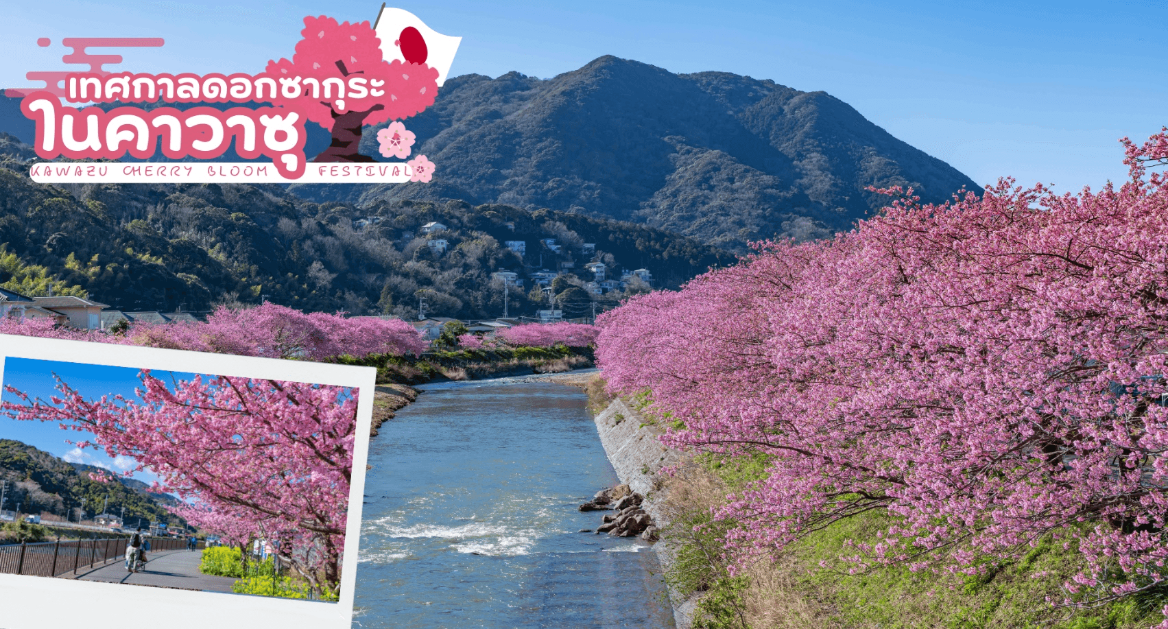 TOKYO FUJI KAWAZU SAKURA SKI WINTER 6D 4N 1