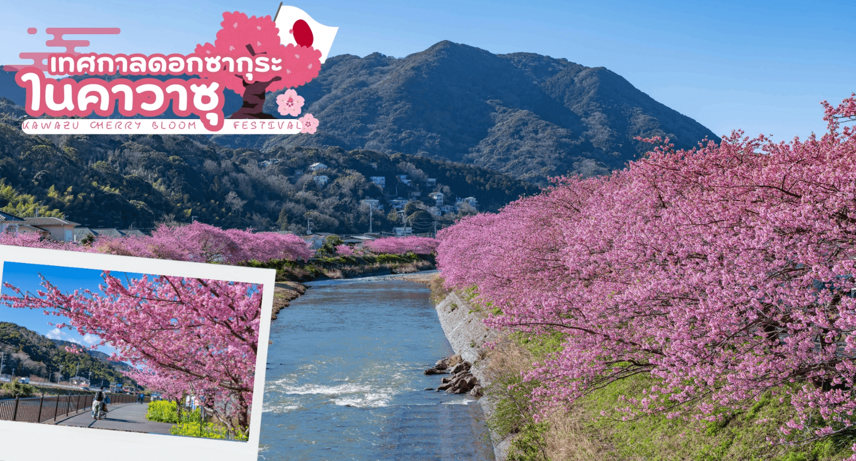 TOKYO FUJI KAWAZU SAKURA SKI WINTER 6D 4N 1
