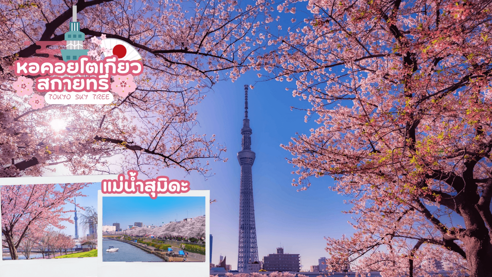 TOKYO FUJI SAKURA ILLUMINATION 5D 3N 2