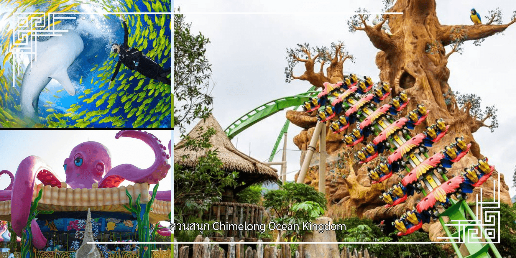 กวางเจา-จูไห่ สวนสนุก Chimelong Ocean Kingdom 3วัน 2คืน 5