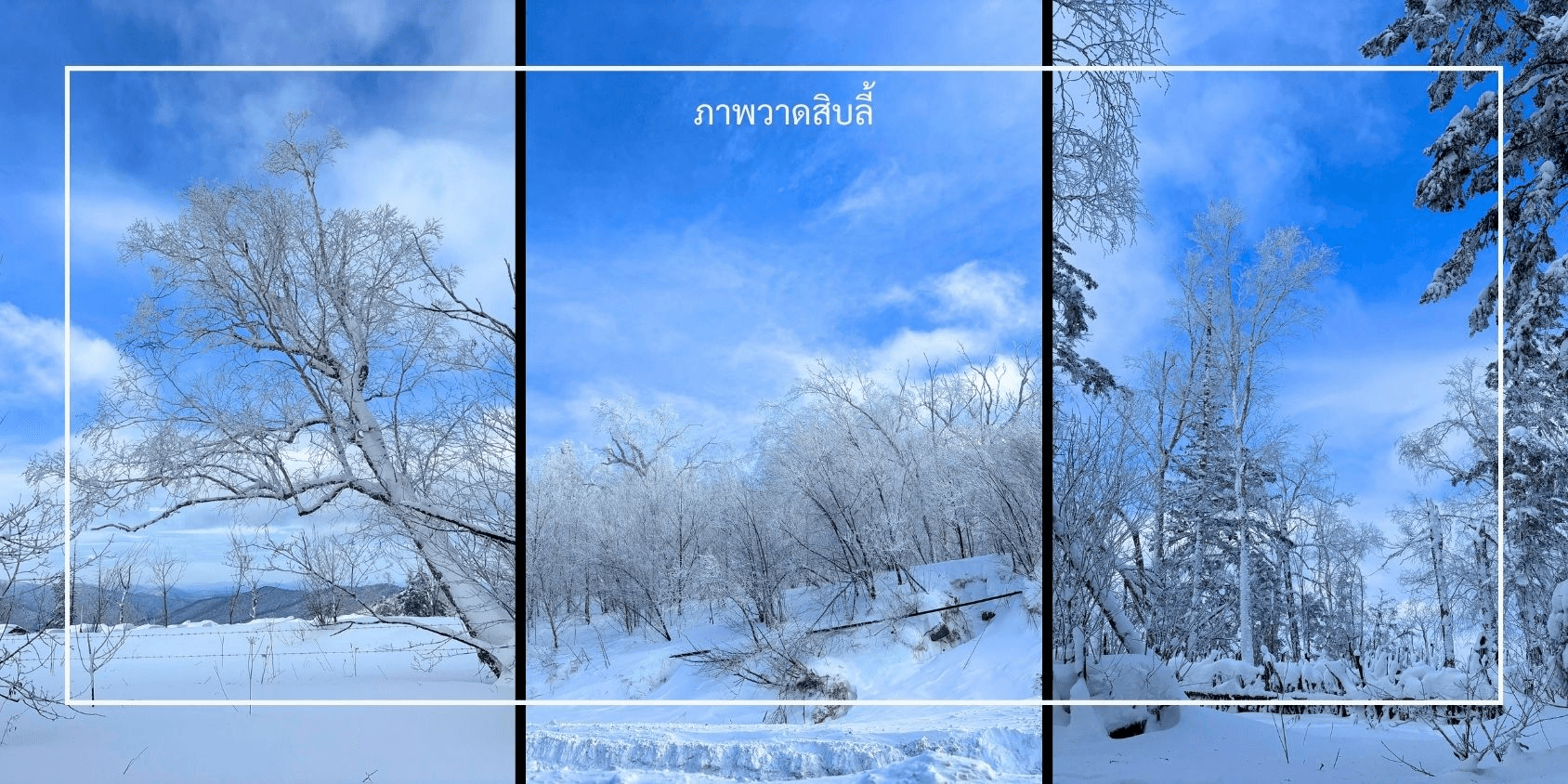 ฮาร์บิน 7วัน 5คืน พักหมู่บ้านหิมะ อาหารทุกมื้อ ลานสกียาบูลี่ เที่ยวครบไฮไลท์ 4