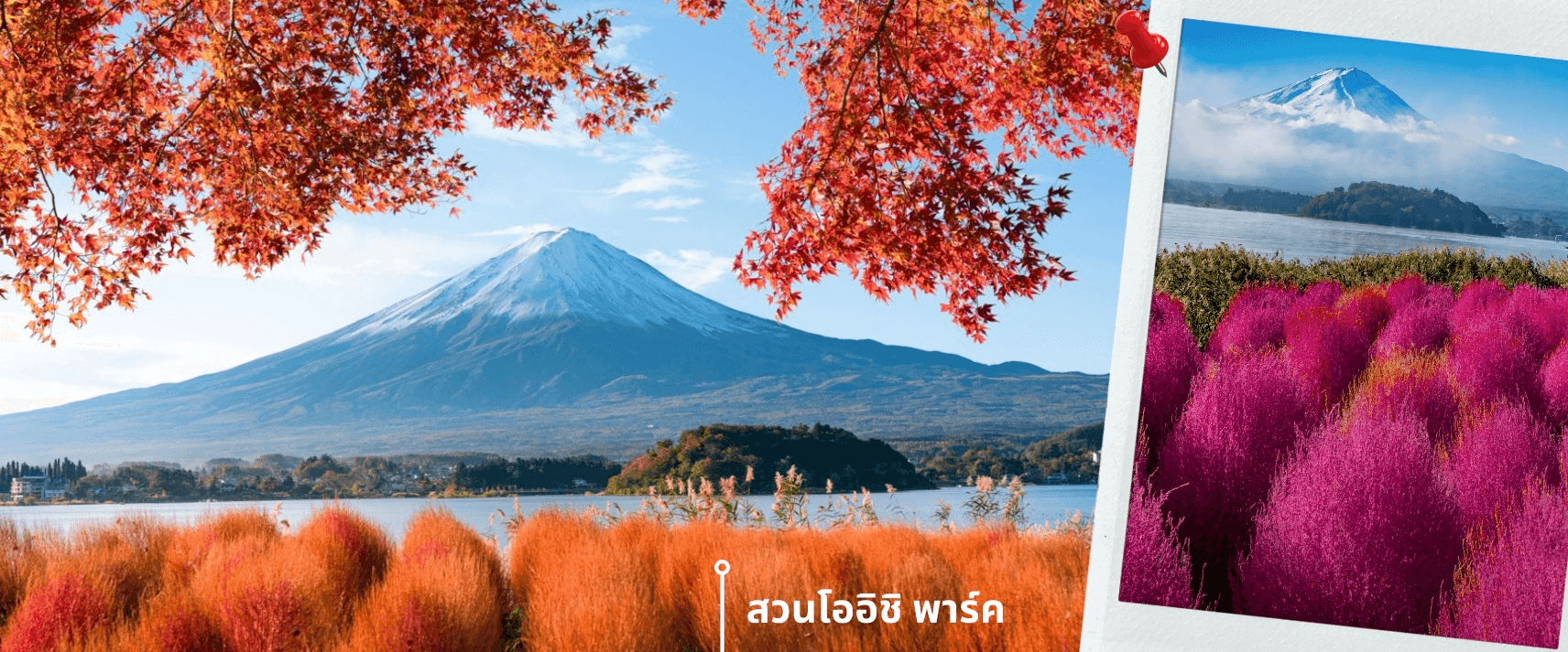 โตเกียว ฟูจิ อุโมงค์เมเปิ้ล ใบไม้เปลี่ยนสี เที่ยวเต็มไม่มีอิสระ 5วัน 3คืน 3