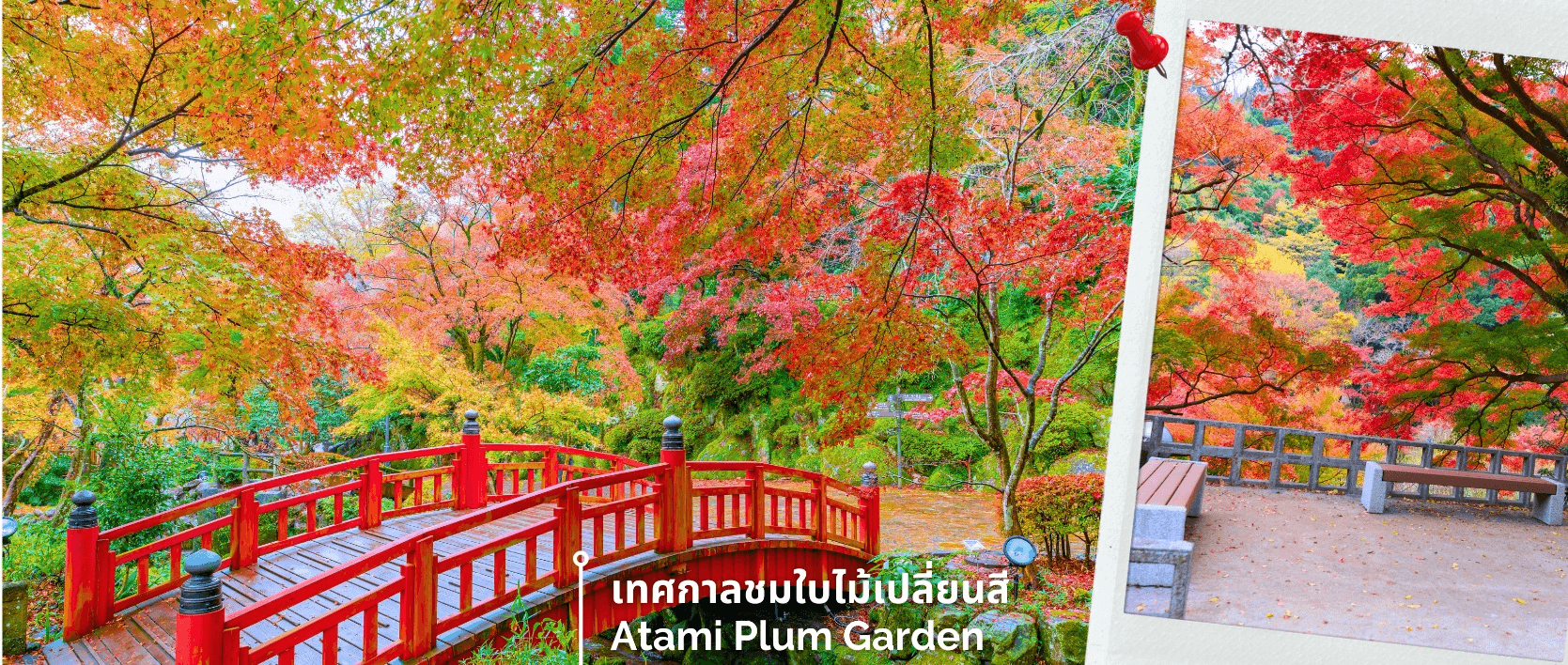 โตเกียว ฟูจิโนมิยะ อาตามิพลัม ใบไม้เปลี่ยนสี เที่ยวเต็มไม่มีอิสระ 5วัน 3คืน 2