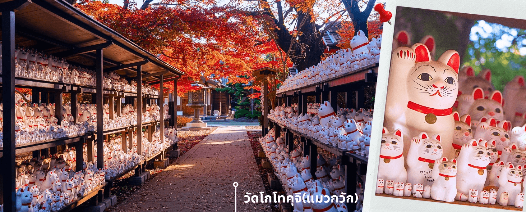 โตเกียว ฟูจิ ปีใหม่ งานประดับไฟเยอรมันวิลเลจ 5วัน3คืน อิสระช้อปปิ้งเต็มวัน 1