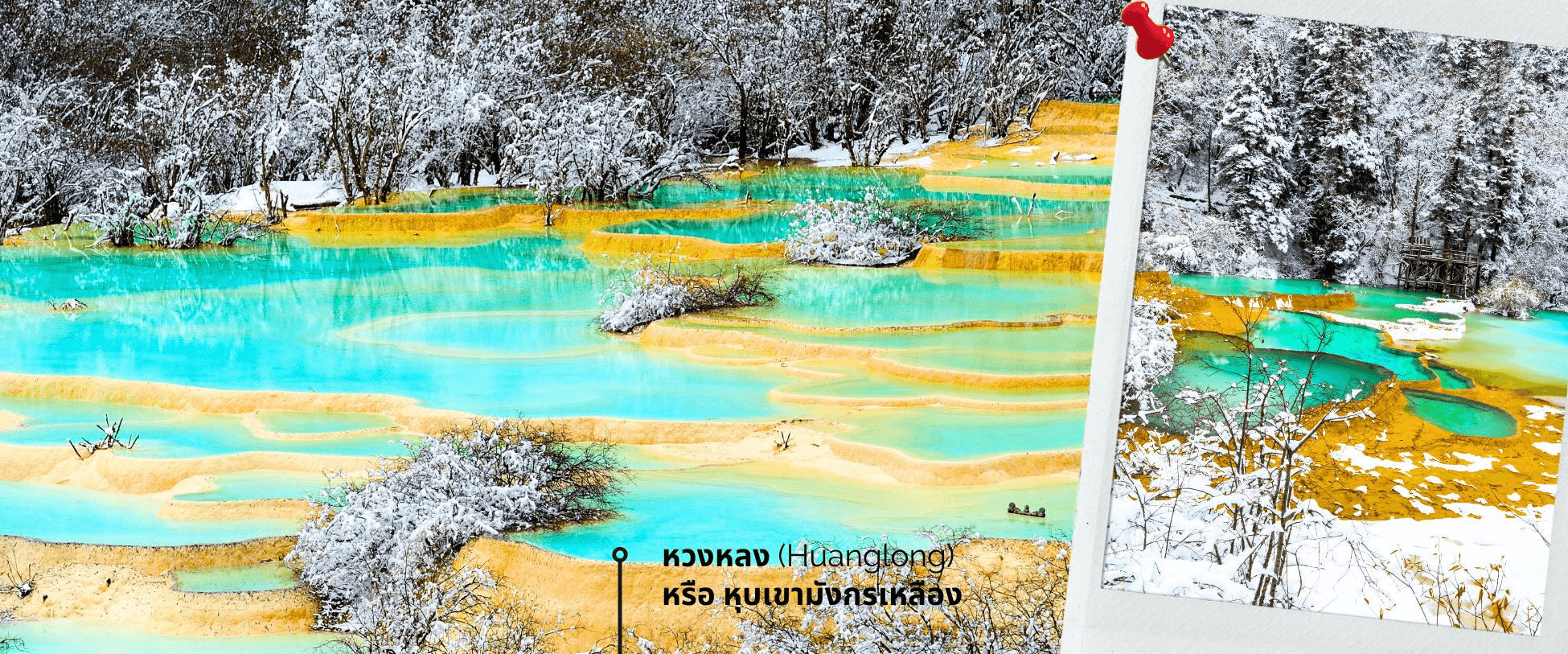 เฉิงตู สี่ดรุณี จิ่วจ้ายโกว หวงหลง 6วัน 5คืน Chengdu Airlines (ไม่ลงร้าน) 4
