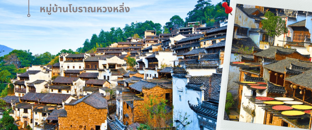 เซี่ยงไฮ้-หุบเขาเทวดา-ซ่างเหรา-หมู่บ้านโบราณหวงหลิ่ง 5วัน 3คืน ไม่ลงร้าน 2