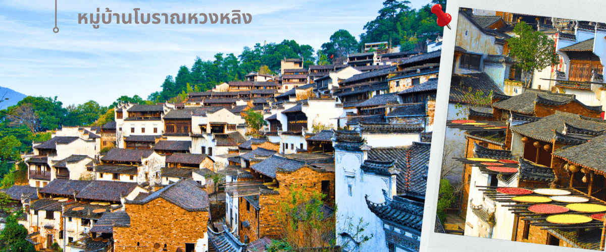 เซี่ยงไฮ้-หุบเขาเทวดา-ซ่างเหรา-หมู่บ้านโบราณหวงหลิ่ง 6วัน 4คืน 2