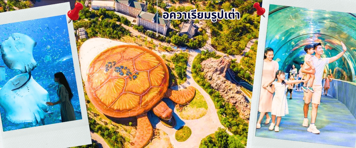 เกาะฟู้โกว๊ก-สวนสนุก Vin Wonders-อควาเรียมรูปเต่า-นั่งกระเช้า 3 วัน 2 คืน 4