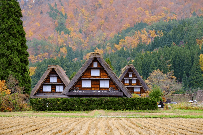 ฟ้าเป๋นใจ๋…ฮักนี้เลยได้ไป OSAKA NARA KYOTO TAKAYAMA SHIRAKAWAGO 5 วัน 3 คืน 5
