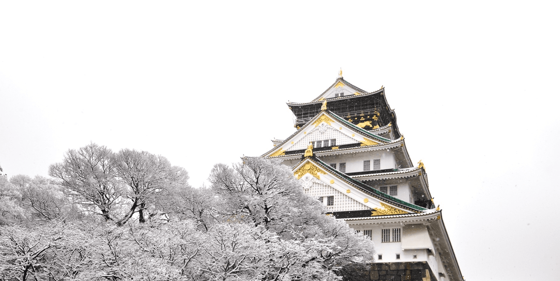 หนาวนี้มีรัก ปักหมุดที่ญี่ปุ่น OSAKA TOKYO KYOTO TAKAYAMA SHIRAKAWAGO FUJI 6วัน 4คืน 1