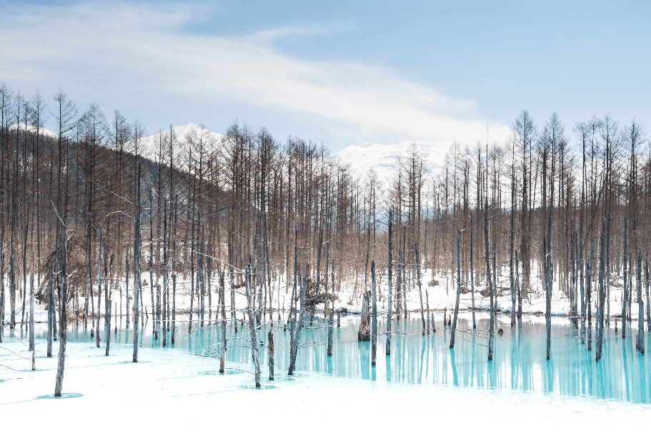 Northern Hokkaido WAKKANAI SAPPORO OTARU ASHIKAWA 6 วัน 4 คืน 3