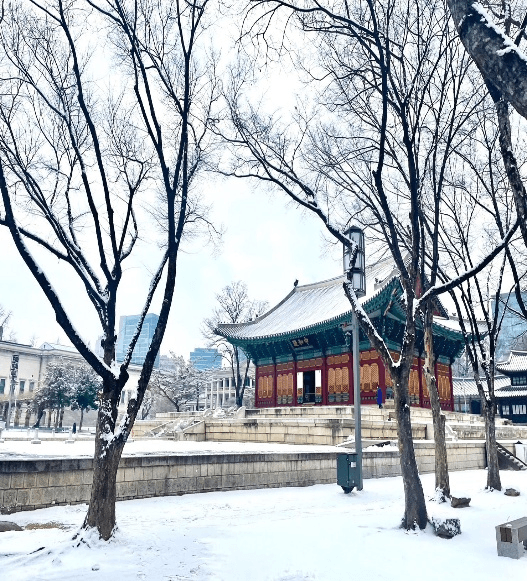 SKI RESORT KOREA 5 วัน 3 คืน 2