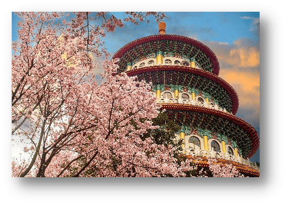 Taiwan Baby Pink SAKURA @ Wuji Tianyuan 無極天元宮 เที่ยวไต้หวัน หัวใจเป็นสีชมพู ชมซากุระหวาละมุนสุดโรแมนติก 4 วัน 3 คืน 2