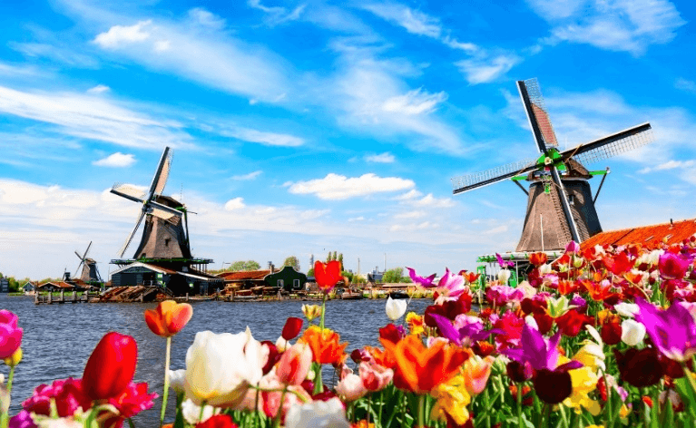BENELUX BLOSSOM ฝรั่งเศส เบลเยี่ยม ลักเซมเบิร์ก เยอรมนี เนเธอร์แลนด์ 8วัน 5คืน 3