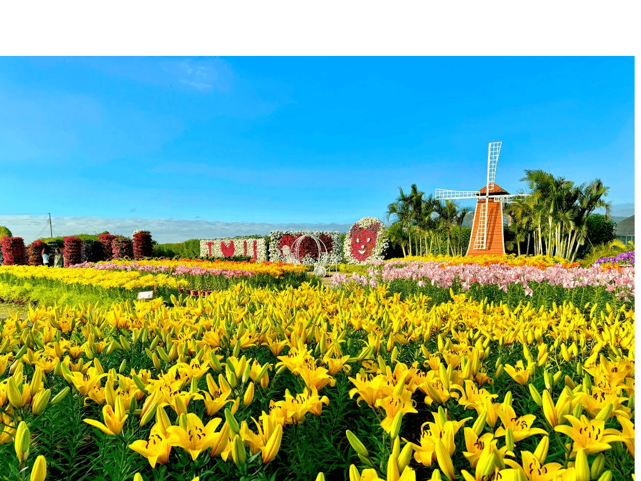 ไต้หวัน ไทจง หนานโถว ไทเป ฟาร์มแกะซิงจิ้ง นั่งกระเช้าชมวิวสุริยันจันทรา (ชมซากุระ) 4 วัน 3 คืน 1