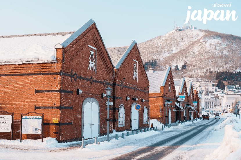 มหัศจรรย์...HOKKAIDO ฮาโกดาเตะ โทยะ ซัปโปโร 6 วัน 4 คืน 5