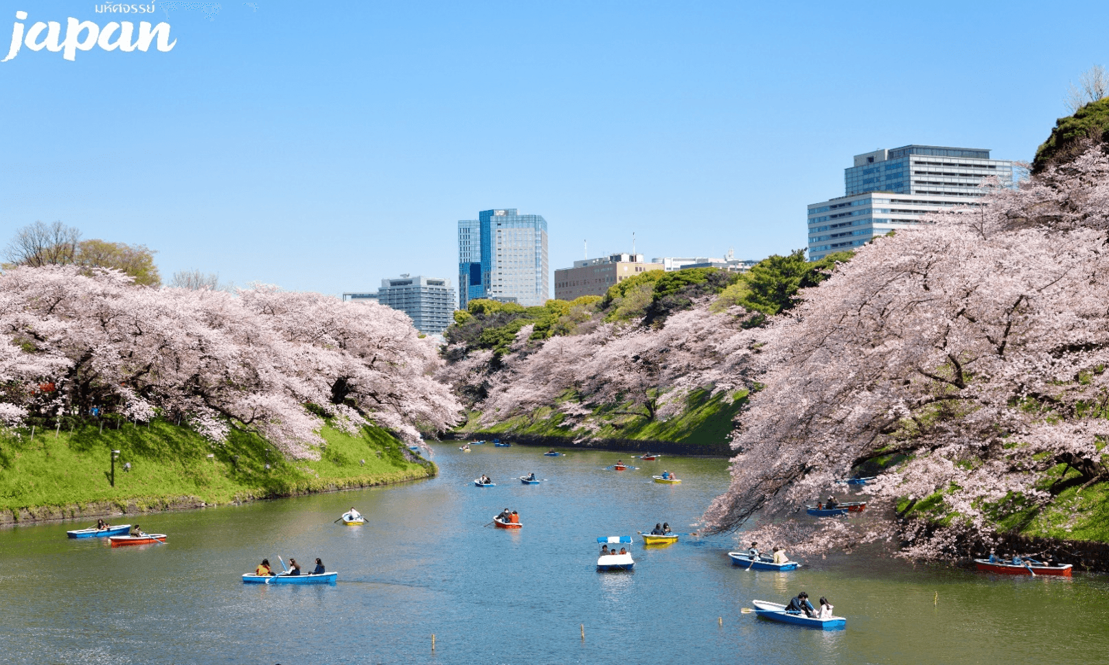 มหัศจรรย์...TOKYO ฟูจิ ซากุระ อิสระ 1 วัน 5 วัน 3 คืน 1