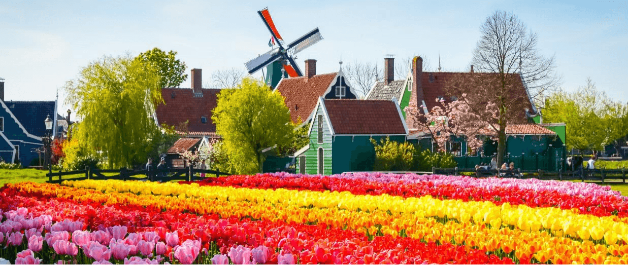 เนเธอร์แลนด์ เบลเยียม ฝรั่งเศส (KEUKENHOF) 8 วัน 5 คืน 2