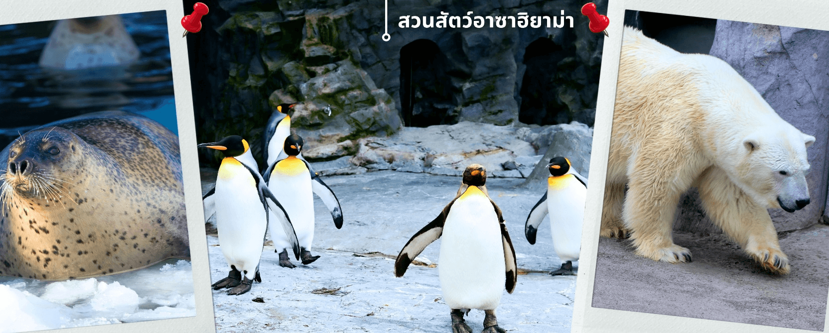 ซัปโปโร อาซาฮิกาว่า ลานกี อิสระช้อปปิ้งเต็มวัน 5วัน 3คืน 4