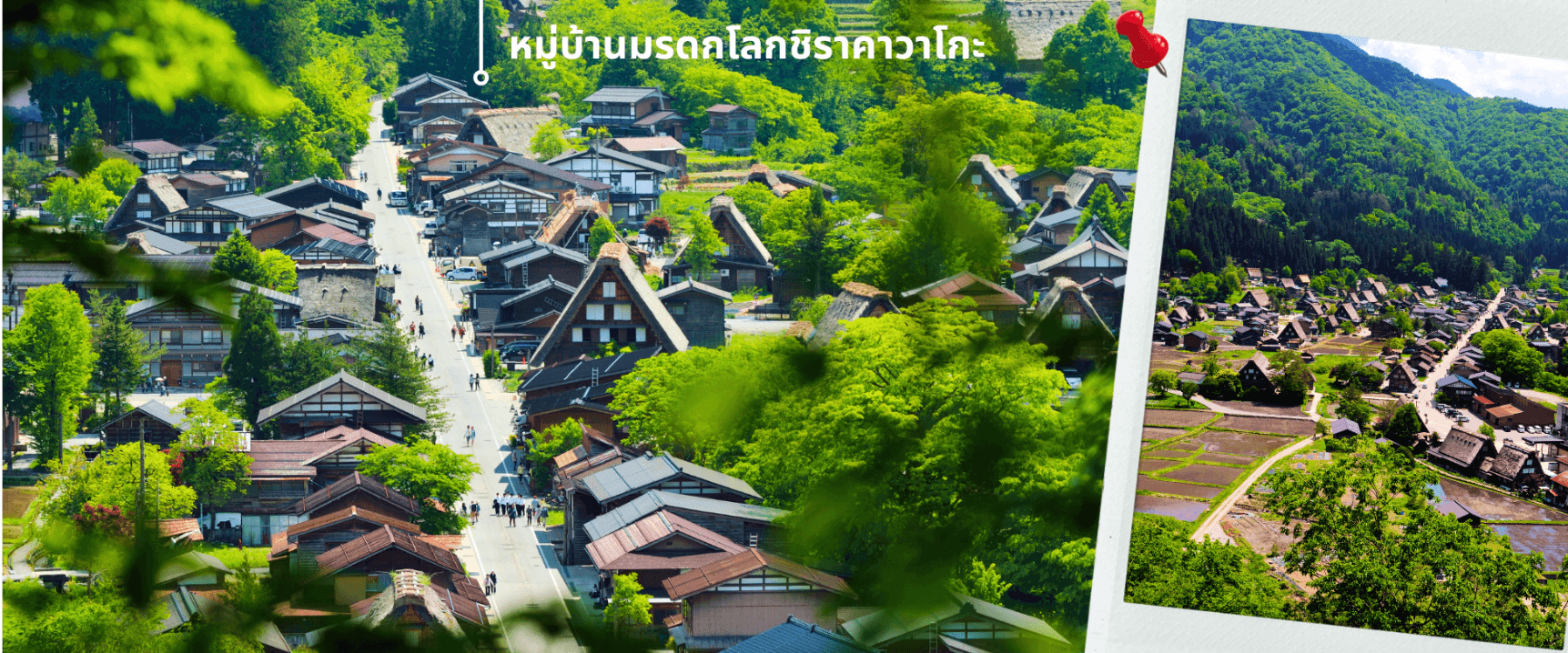 โอซาก้า ทาคายาม่า ซากุระ 5วัน3คืน 4