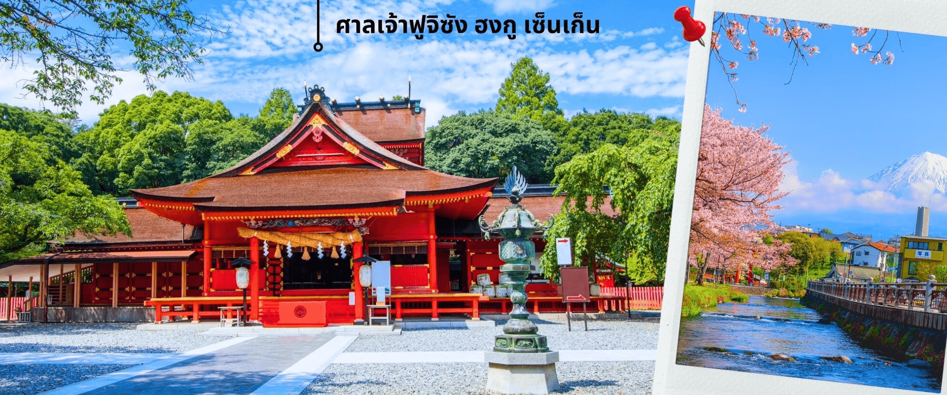 โตเกียว ฟูจิ ซากุระ เที่ยวเต็มไม่มีอิสระ 5วัน3คืน 4