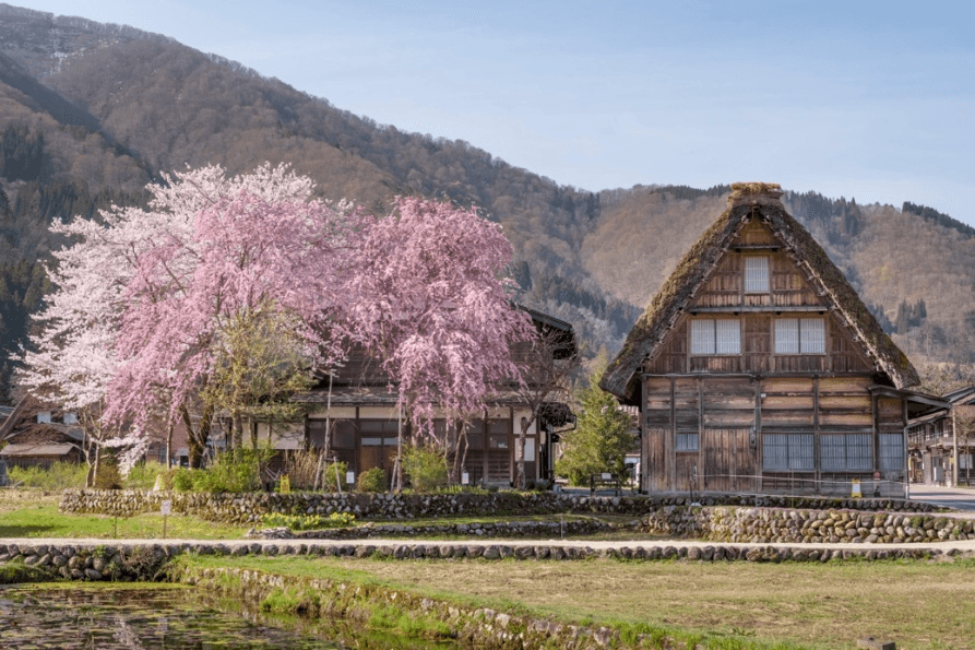 NAGOYA SHIRAKAWAGO TAKAYAMA MIE 5 วัน 3 คืน 2