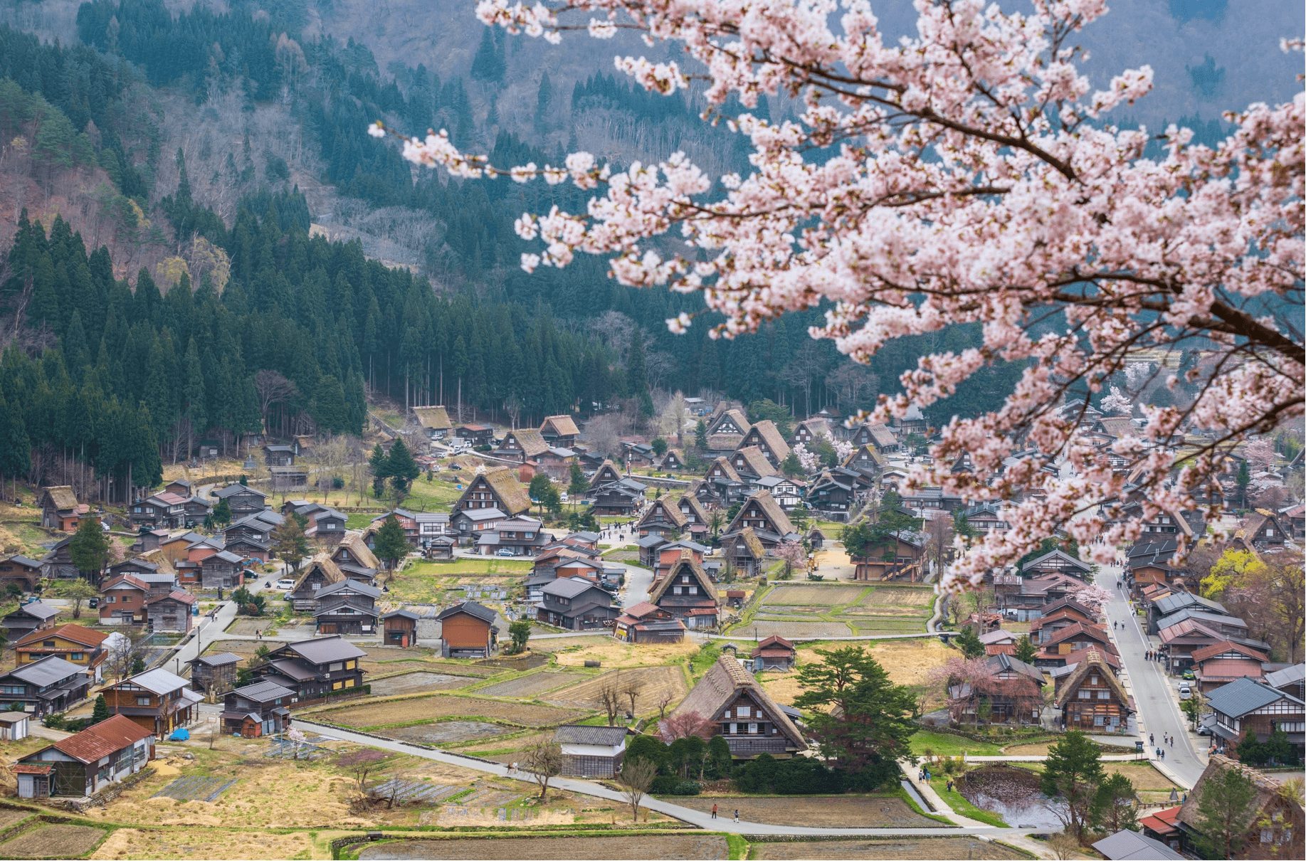 NAGOYA SHIRAKAWAGO TAKAYAMA MIE 5 วัน 3 คืน 3