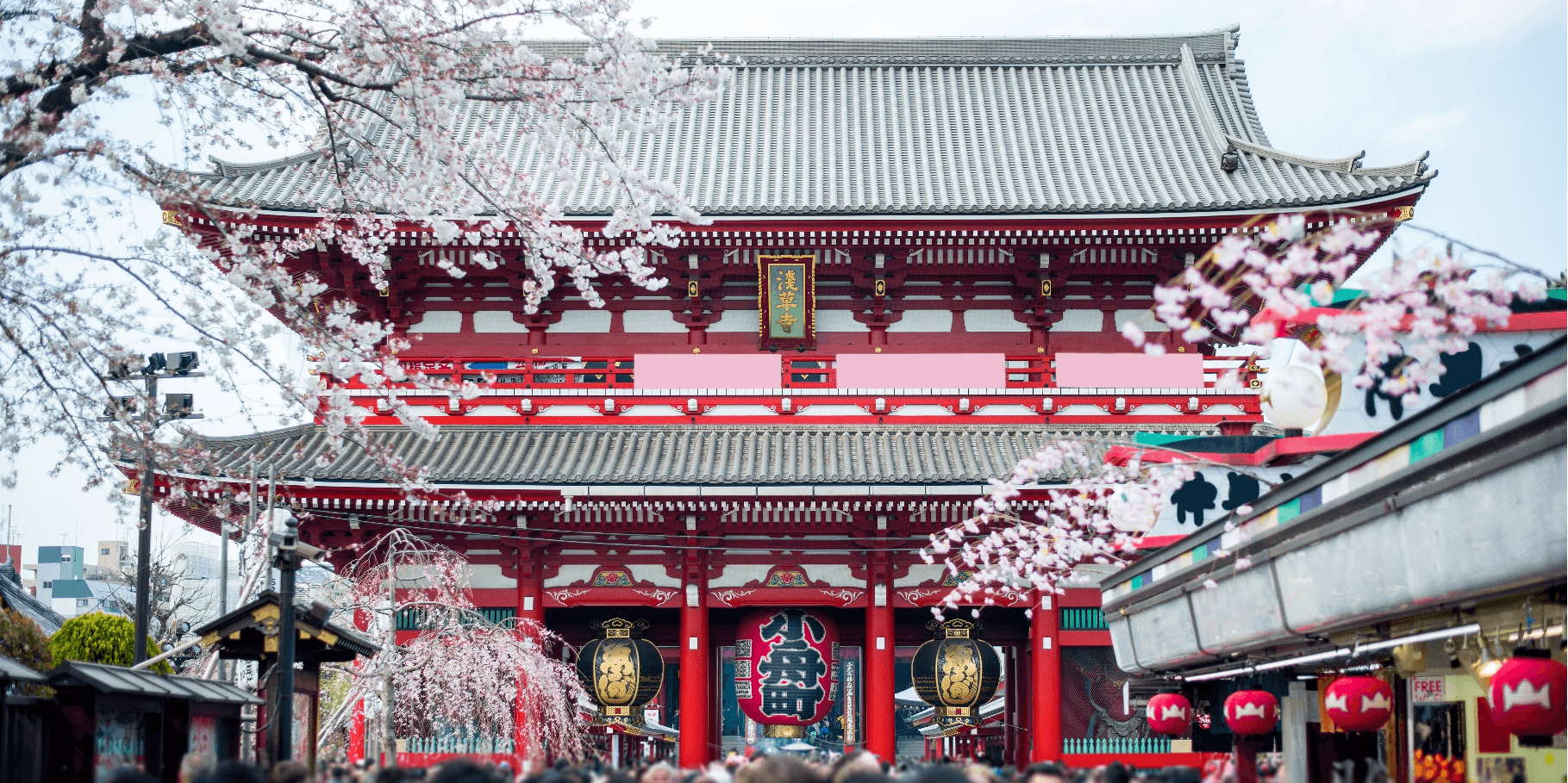 Sakura Lover TOKYO FUJI 5วัน 3คืน 1