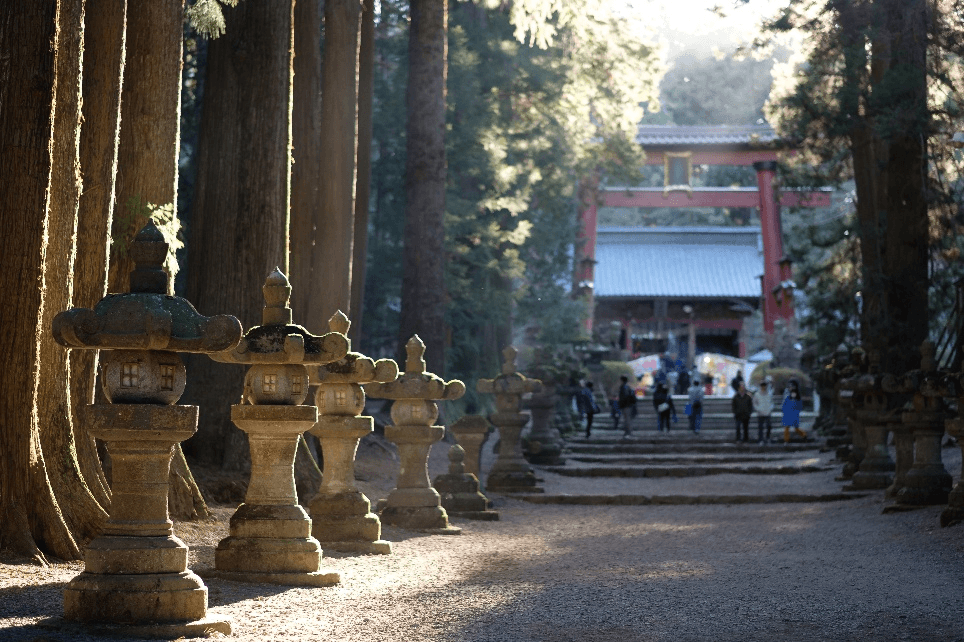 Pink Season TOKYO FUJI Mt.Takao 5วัน 3คืน 2