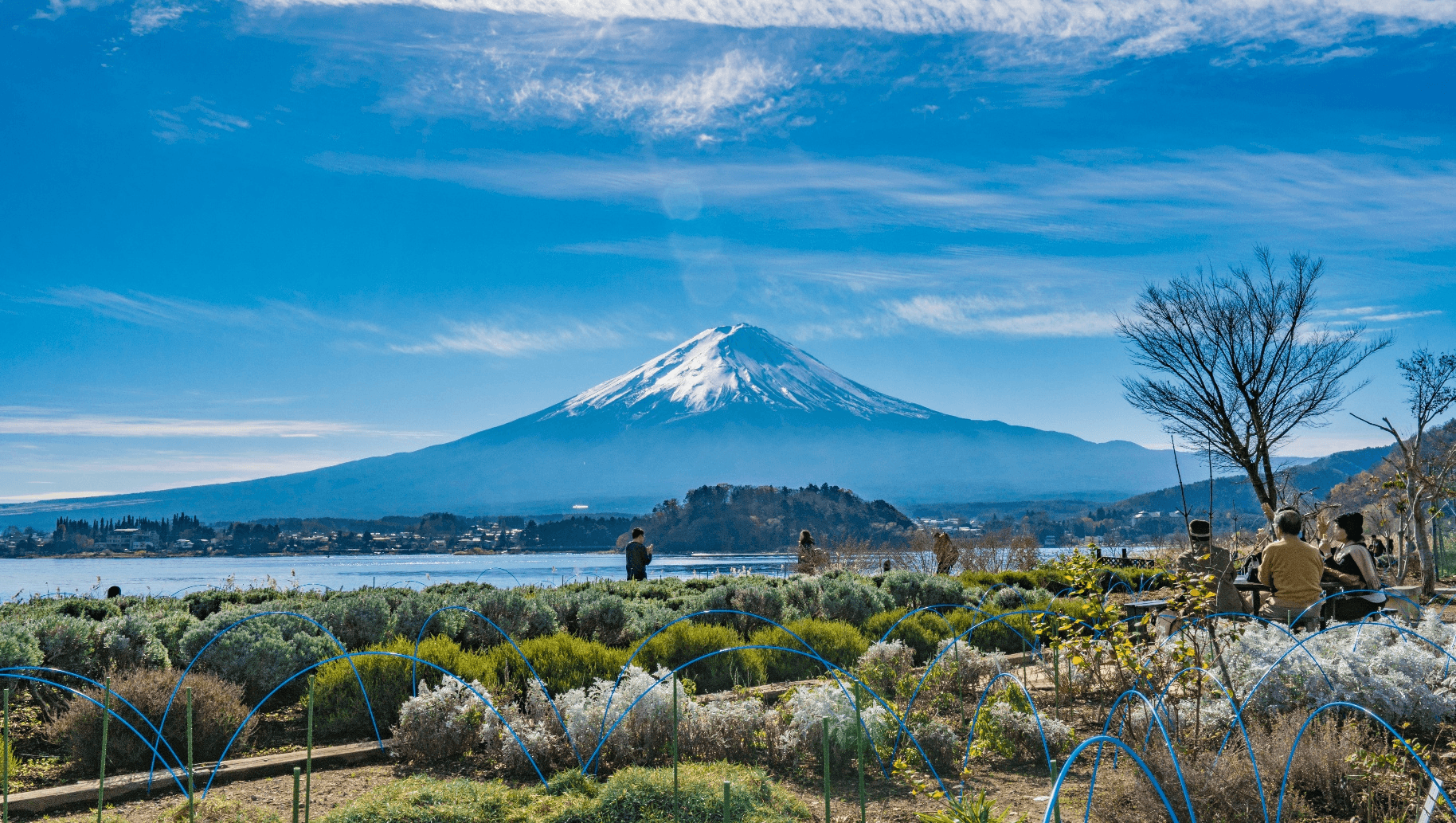 Pink Season TOKYO FUJI Mt.Takao 5วัน 3คืน 4