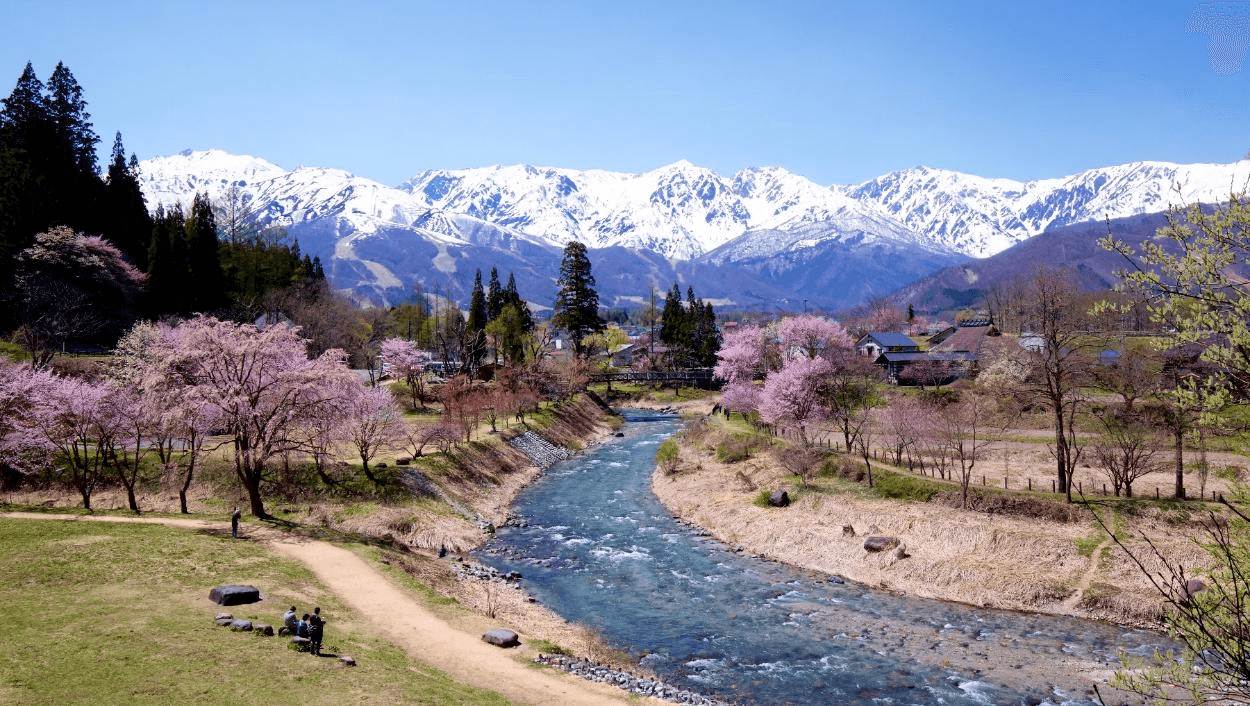 Sakura Harmony TOKYO FUJI HAKUBA KUSATSU ONSEN NAGANO 6วัน 4คืน 4