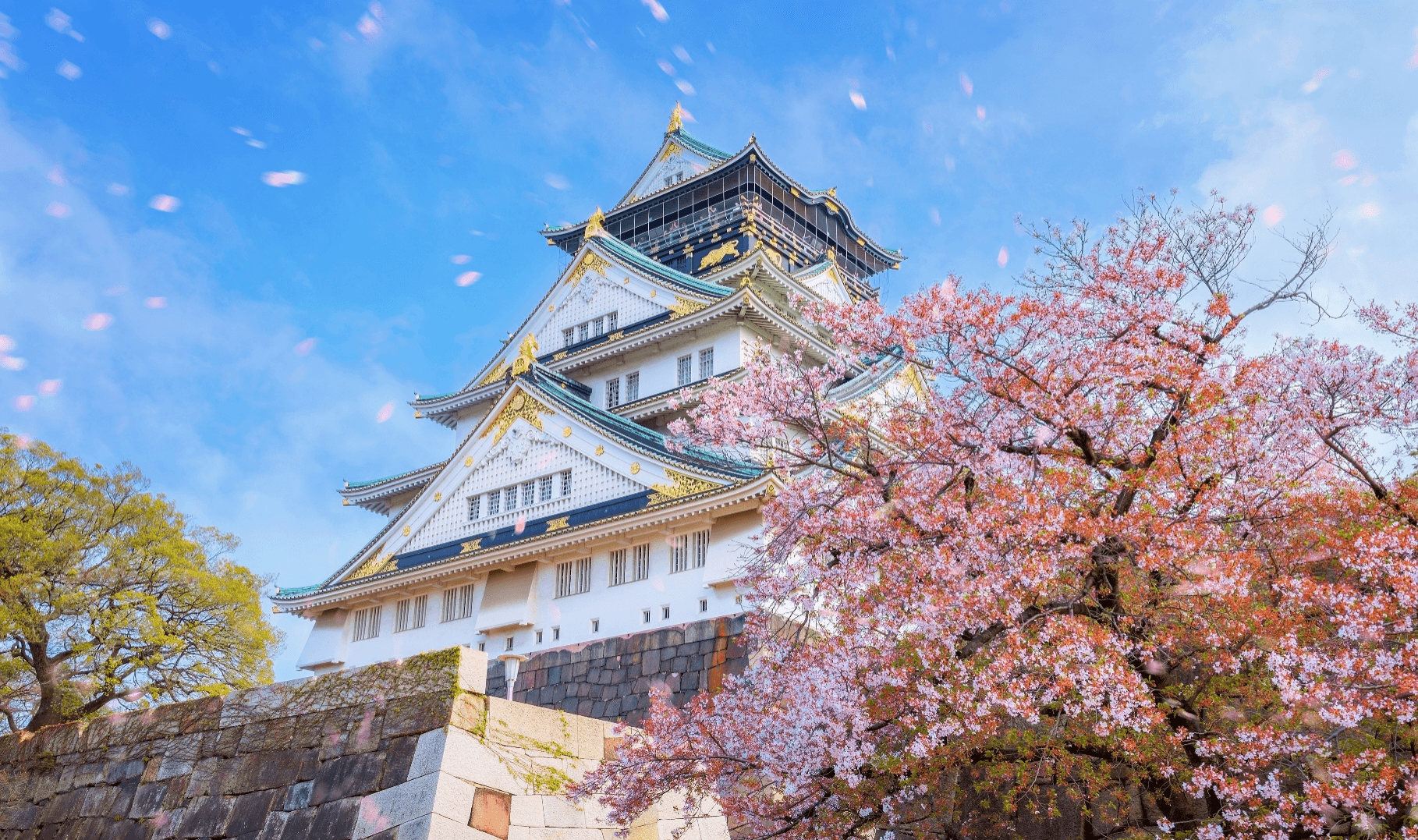 Kansai Sakura OSAKA NARA KYOTO 5 วัน 3 คืน 2