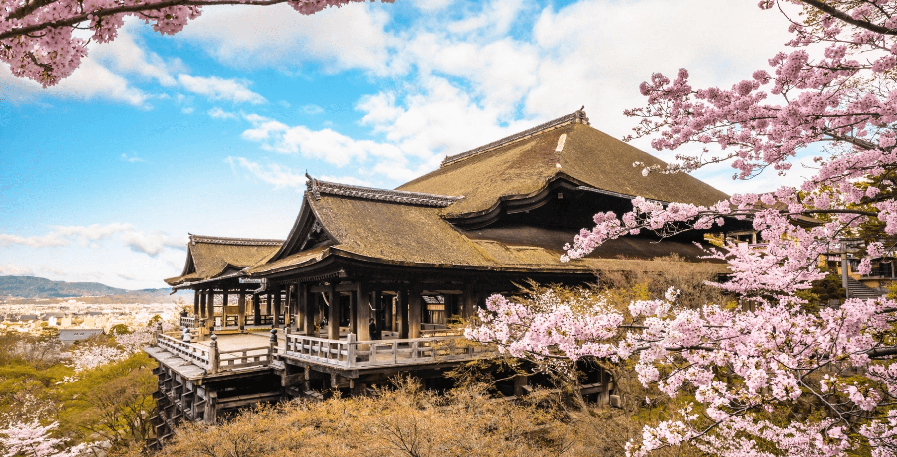 Golden Route Sakura OSAKA TOKYO KYOTO SHIRAKAWAGO 6 วัน 4 คืน 3