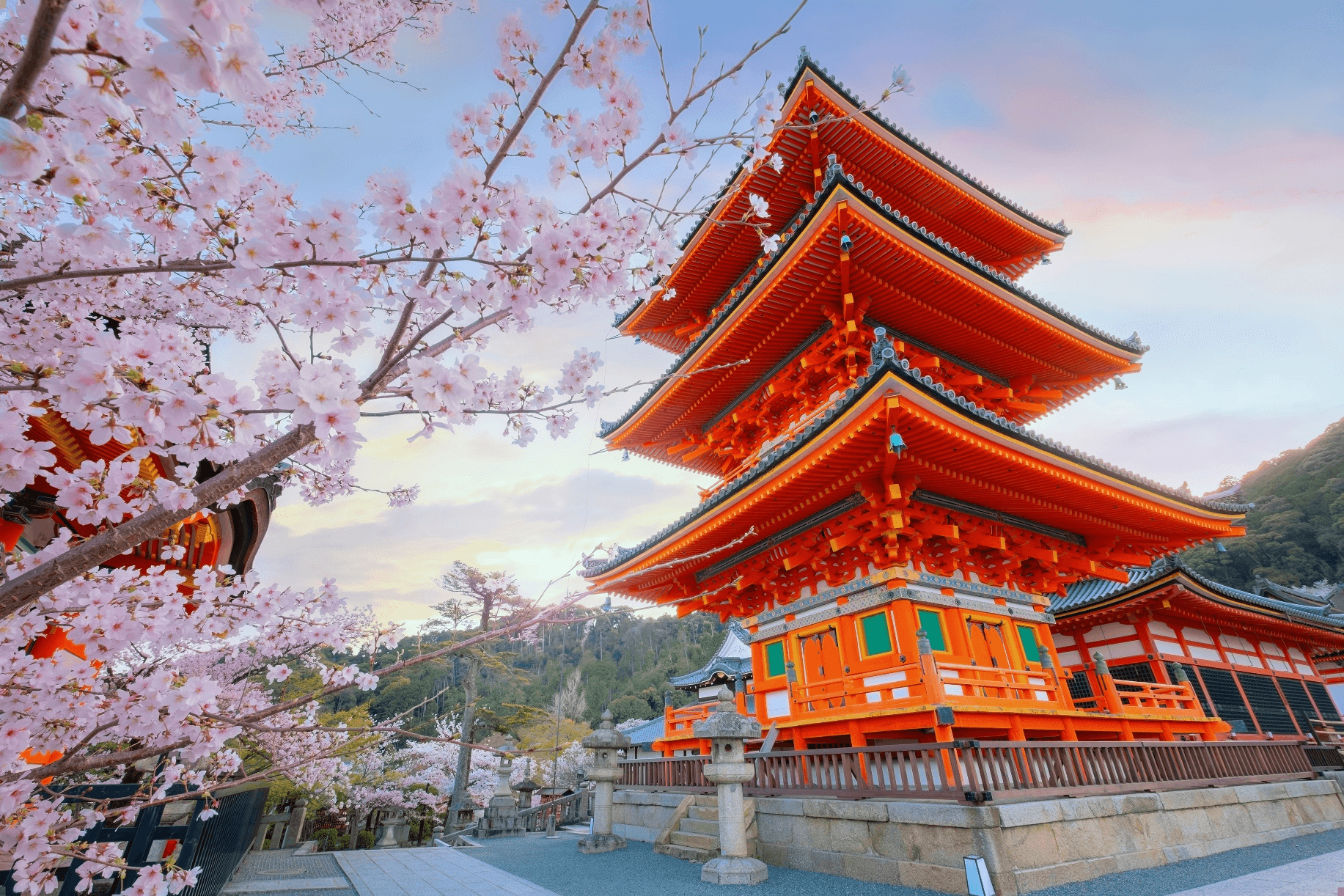 Golden Route Sakura OSAKA TOKYO KYOTO SHIRAKAWAGO 6 วัน 4 คืน 4