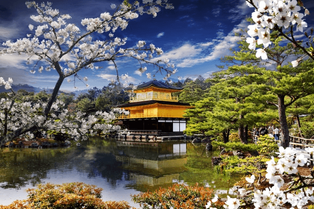 Golden Route Sakura OSAKA TOKYO KYOTO SHIRAKAWAGO 6 วัน 4 คืน 5